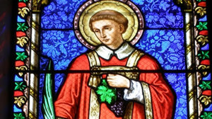 Fête de Saint Vincent de Saragosse: 22 janvier